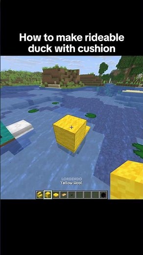 Minecraft Duck Build