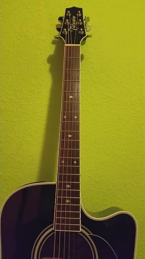 Takamine ef341sc