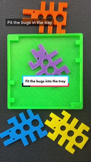 Solving the Bugs Packing Puzzle