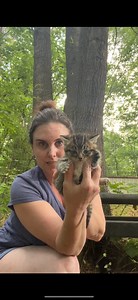 5M views · 235K reactions | The stray cat that I’ve been feeding had...