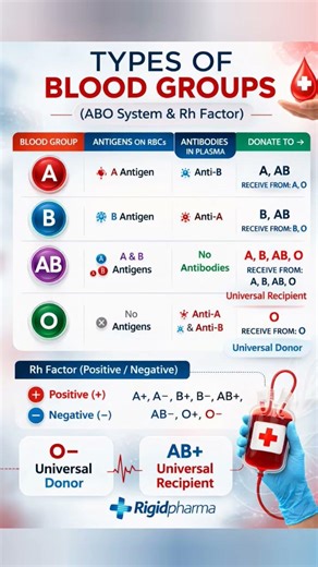 Types of Blood Groups Explained | ABO System & Rh Factor | Medical Facts You Must Know