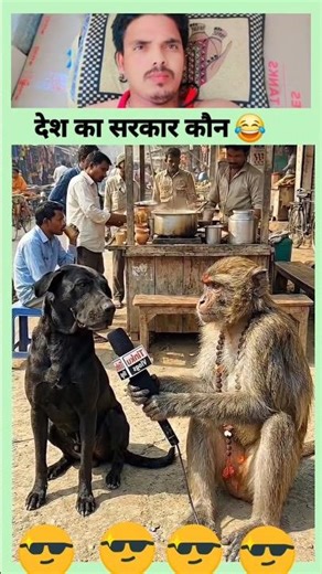 Desh Ka Sarkar 😂😂 New Amzing Funny Shorts #funny #comedy #surjapuri #desi #fun #jokes #yt #subscribe