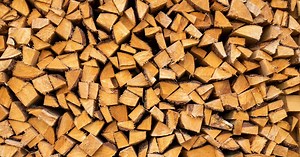 Cold Weather Can Be Dangerous for the Human Body. This Winter Worries Experts