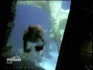 Splash (1984) - The Sea hag (fan scene)