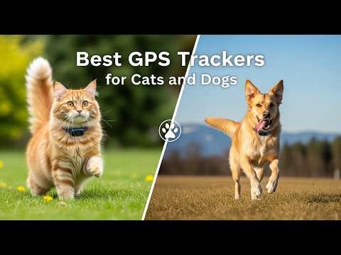 TOP 5 Best Gps Trackers For Cats And Dogs 2026