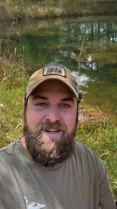 1.7M views · 10K reactions | I need to know if it’s legal to incubate Canada goose eggs that were layed on my property and abandoned! #nativehabitatproject #canadagoose #gooseeggs #nest #goose #bobcat #Cuddeback #trailcamera #conservation #wildlife | Native Habitat Project | Facebook