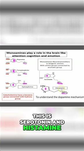 2-Minute Demystifying Neurotransmitters: Serotonin, Dopamine #shorts
