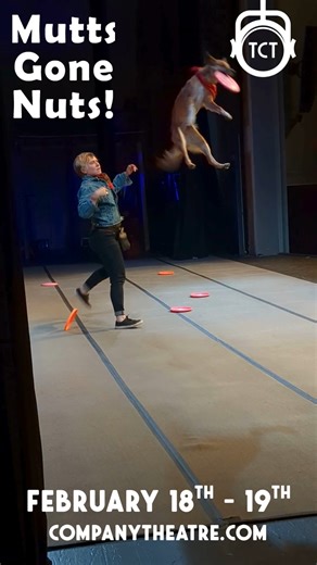 The Mutts are BACK at The Company Theatre! Featuring some of the world’s most talented canines, this action-packed comedy dog spectacular will be sure to steal your heart. Come see Mutts Gone Nuts February 18th - 19th, tickets on sale at companytheatre.com and at our box office. #muttsgonenuts #thecompanytheatre #funnydogs #dogshow | The Company Theatre Center for the Arts