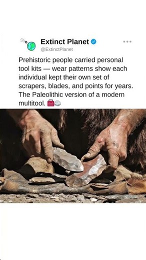 Prehistoric people carried personal tool kits! 🧰🪨 #prehistoriclife #prehistory