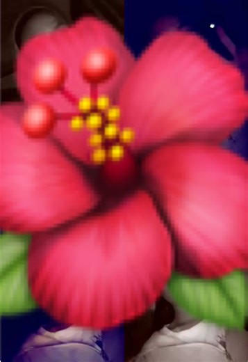 Adorable Kids Moments: Cute Baby Highlights