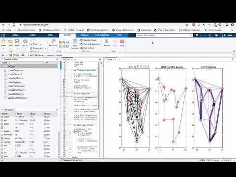 Implementation of genetic algorithm Ant Colony Algorithms In MATLAB |MATLAB Solutions #matlab