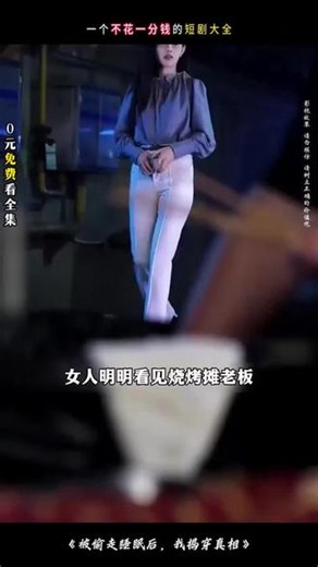红果短剧电脑版