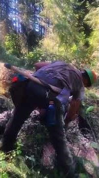 Chainsaw Mistakes That Turn Deadly #LoggingLife #Forestry #Shorts