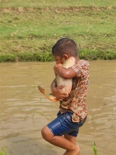 Amazing Traditional Boy Fish Catching By Hand