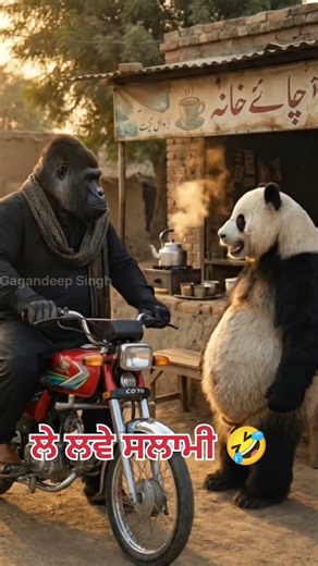 Gorilla and Panda funny part 3 | #shorts #funny #punjabicomedy #punjabi#gorilla