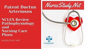 Patent Ductus Arteriosus Nursing Diagnosis & Care Plan - NurseStudy.Net
