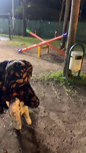 I’m screaming HELP ME,you’re laughing😭😂😂😂😂