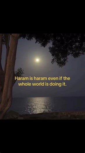 Vidéos de el gato😸 (@31.318.31introuvable314) avec son original - 𝐀𝟕𝐄𝐃𝐈𝐓𝐒𝐒