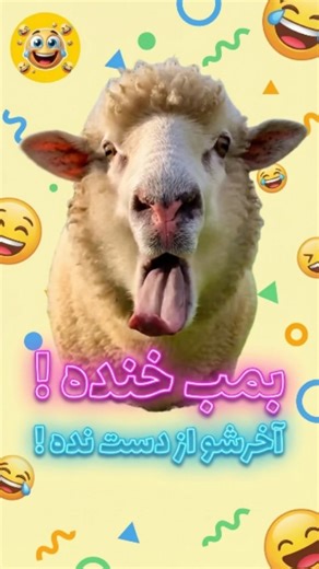 ‎طنزگرافی‎ on Instagram‎: "رفیقای این مدلی رو اینجا تگ کن بخندیم” 👇😂 فقط صدا رو باز کن تا آخر … 🔊 تا تهشو ببین ...🚀 . . Tag your friends who are like this. 👇🐑 Just turn up the volume … 🔊 . See it until the end...🚀 . #خنده #طنز #شوخی شکمو حیوانات_بامزه اکسپلور کلیپ_فان sheep mukbang asmr funnyanimals eating hungry viralreels"‎