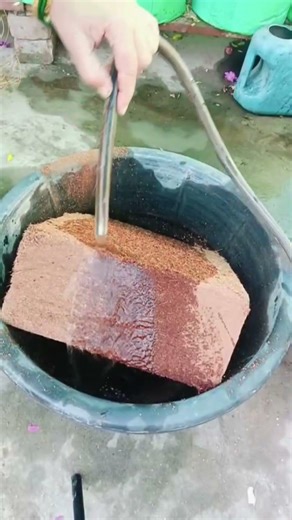 //how to use coco peat 🪴// #meesho #product #unboxing #garden #cocopeat #gardening #flipkart #happy