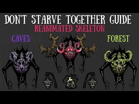 Don't Starve Together Guide: Reanimated Skeleton