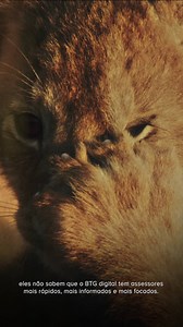 1M views · 4K reactions | No BTG Pactual digital você investe com a segurança do maior Banco de investimentos da América Latina. Assessoria qualificada, taxa zero de abertura e manutenção de conta, portfólio completo para você diversificar sua carteira. Abra sua conta 100% online e dê um BTG em seus investimentos. | BTG Pactual | Facebook