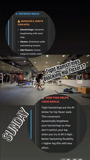 Ostrich Walk For Hip Flexor Range | Hamstring Mobility | HIP flexor