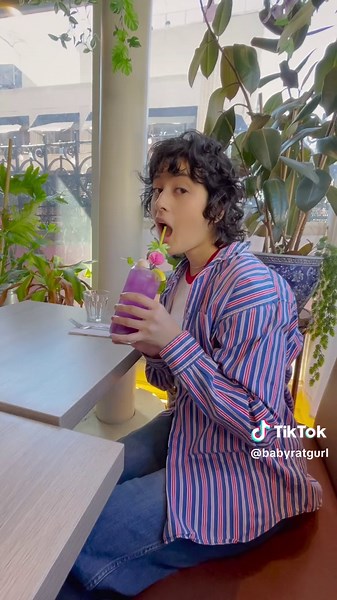 Cat Adoption in Brooklyn - Visit a Cat Cafe in NYC