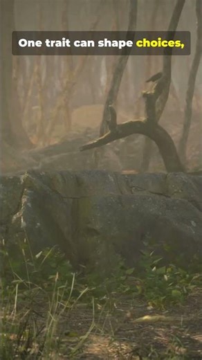 What Are Traits and Why They Matter