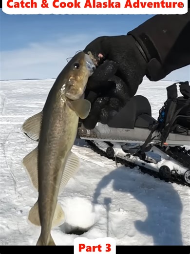4 Days Camping & Fishing on Arctic Ocean - GIANT Sheefish Catch & Cook Alaska Adventure (3)