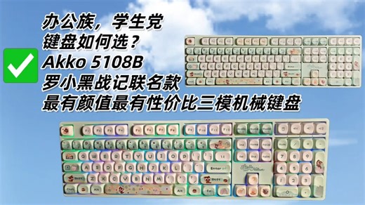 学生党，游戏党，办公党如何选择108键机械键盘？Akko 5108B罗小黑战记联名版最佳选择！