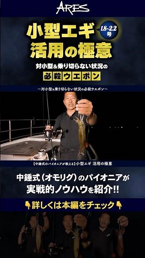 【中錘式（オモリグ）のパイオニアが教える】1.8〜2.2号小型エギ活用の極意｜対小型＆乗り切らない状況の白イカ必殺ウエポン #オモリグ #白イカ #シロイカ