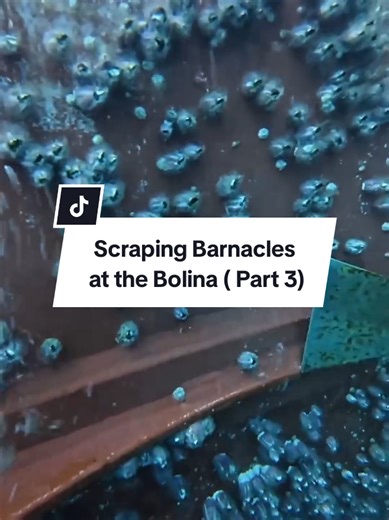 Scraping Barnacles at the Bolina Part 3