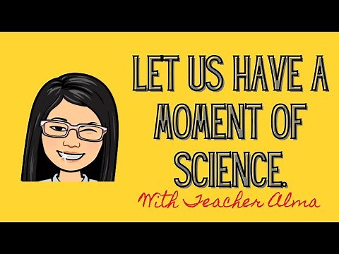 Basic Science Process Skills (with activity to answer)| Titser Alma