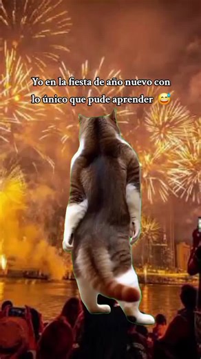 Feliz Año Nuevo: Memes y Momentos Divertidos