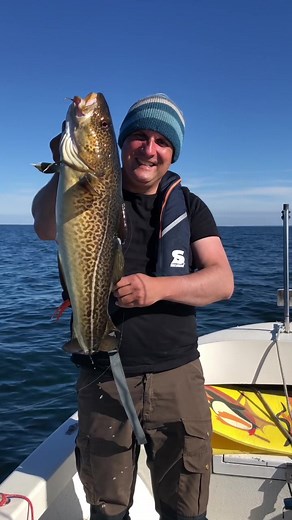 Cooking Delicious Cod: A Guide to Dorsch Fishing and Catch-and-Cook Meals