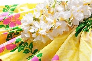 アロハオエ Aloha Oe 歌詞の意味 ハワイアン