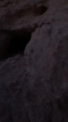 Holy splunk | tianna and terri joe