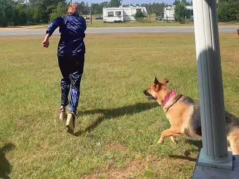 Woman trips while running in heels in Clarksville, Florida, USA