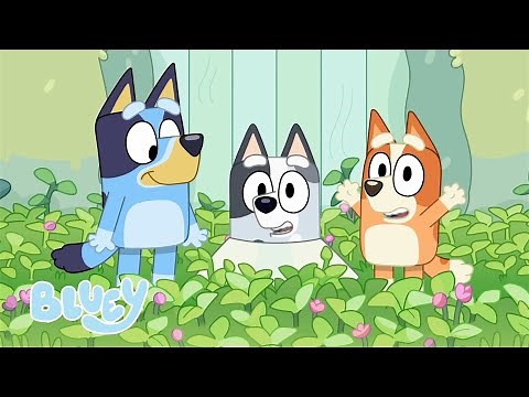 🔴LIVE: Happy Bluey Moments | Bluey