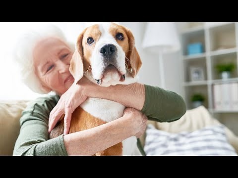 How To Make Your Dog An Emotional Support Dog