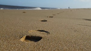 11K views · 37 reactions | Did you get to spend Valentine's Day with your loved one? Fear not, we have you sorted for this weekend with one of the most romantic walks in the Norfolk! 殺♥ | EDP 24 | Facebook