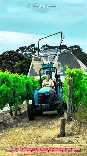 Innovative Vineyard Netting Machine : Method Efficient Crop Coverage
