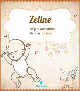 Zeline Name Meaning, Origin, History, And Popularity