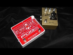 Electro Harmonix POG2 in the FX Loop of the Skreddy Echo