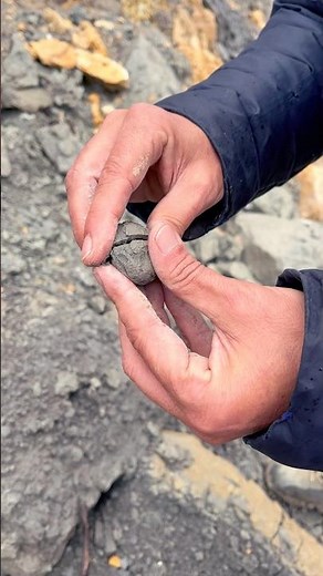 Abrimos una geoda preciosa 😍 una aventura de buscar las geodas en España 🇪🇸#geoda#mineral#busco#