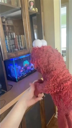 elmo world exercise kids