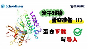 【分子对接实战】Schrödinger 蛋白预处理精讲：蛋白获取与导入！| 华算科技