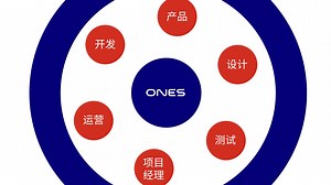 ONES深入使用
