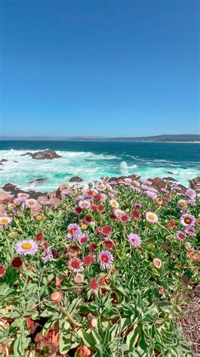 Keira Silver on Instagram: "My favorite creators to follow in 2026! 🤍 These influencers inspired me to start my own content creator journey. Whether you like cozy weekend vlogs or aesthetic photo dumps, all of these creators have something for you. 🫶 Tag your favorite creators in the comments! Creators: @gracetaylorr19 @brynley.joyner @nataliezacek @itsgretawilson @hanna_noellee @rachelmuse @saraxjoy @alain.jannette #fyp #explore #contentcreator #trending #reels #explorepage #grow #viral #infl